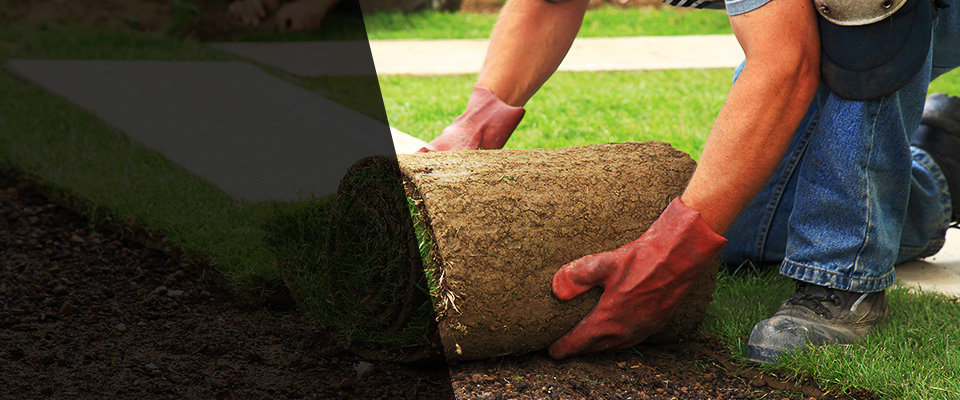 Poplarville Landscapers